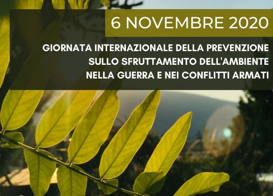 6 NOVEMBRE 2020.jpg